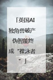 英国AI独角兽破产 伪智能终成“裸泳者”