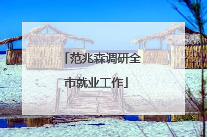 范兆森调研全市就业工作