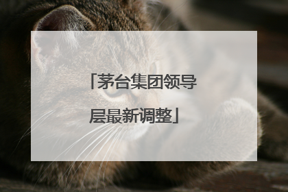 茅台集团领导层最新调整