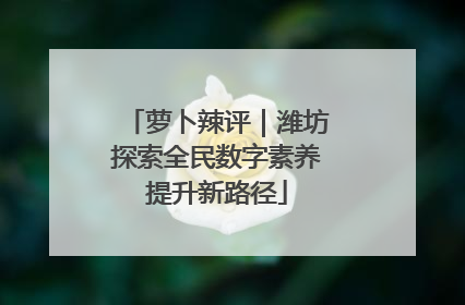 萝卜辣评｜潍坊探索全民数字素养提升新路径