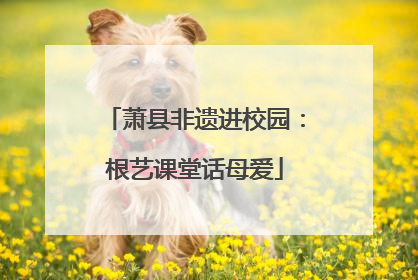 萧县非遗进校园：根艺课堂话母爱