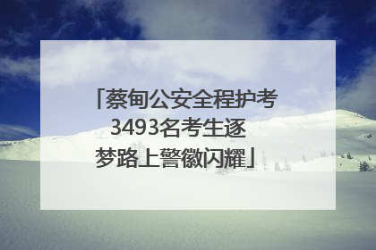 蔡甸公安全程护考 3493名考生逐梦路上警徽闪耀