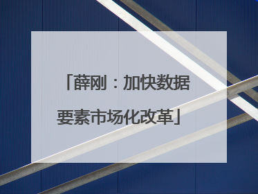 薛刚：加快数据要素市场化改革