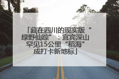 藏在四川的现实版“绿野仙踪”：宜宾深山罕见15公里“稻海”成打卡新地标