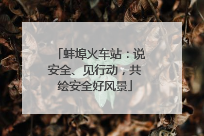 蚌埠火车站：说安全、见行动，共绘安全好风景