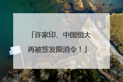 许家印、中国恒大再被签发限消令！