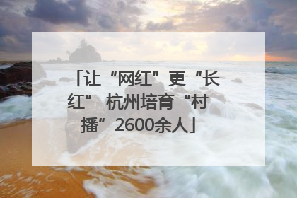 让“网红”更“长红” 杭州培育“村播”2600余人