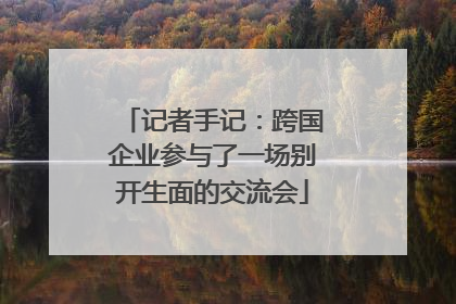 记者手记：跨国企业参与了一场别开生面的交流会