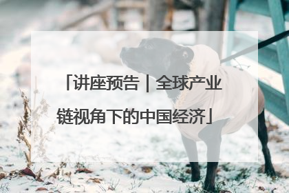 讲座预告｜全球产业链视角下的中国经济