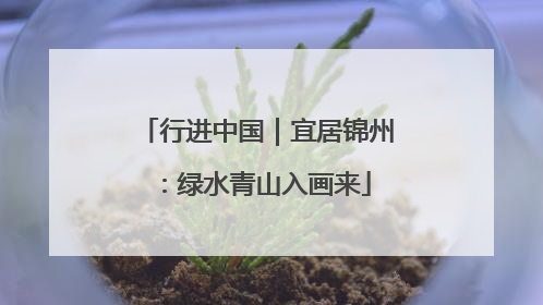 行进中国｜宜居锦州：绿水青山入画来
