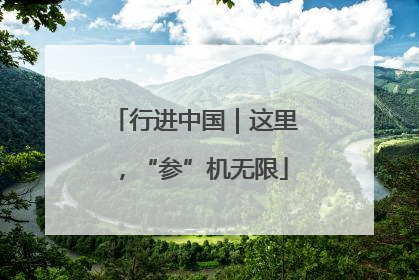 行进中国｜这里，“参”机无限