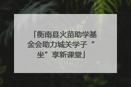 衡南县火苗助学基金会助力城关学子“坐”享新课堂