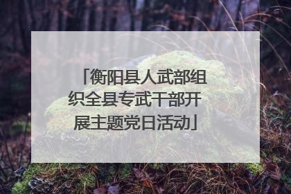 衡阳县人武部组织全县专武干部开展主题党日活动