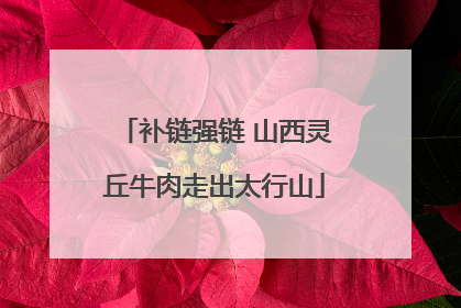 补链强链 山西灵丘牛肉走出太行山