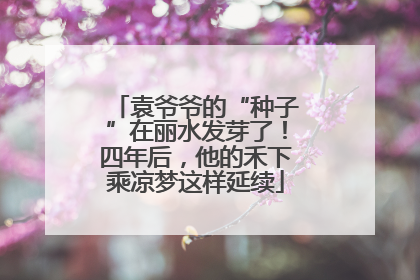 袁爷爷的“种子”在丽水发芽了！四年后，他的禾下乘凉梦这样延续
