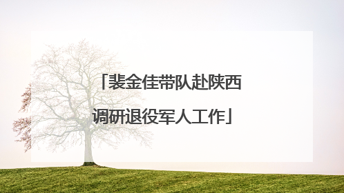 裴金佳带队赴陕西调研退役军人工作