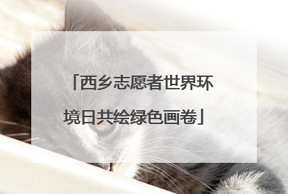 西乡志愿者世界环境日共绘绿色画卷