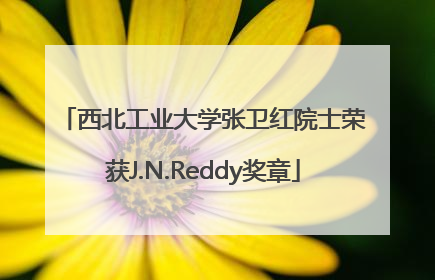 西北工业大学张卫红院士荣获J.N.Reddy奖章