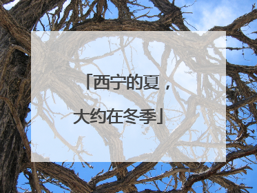 西宁的夏，大约在冬季