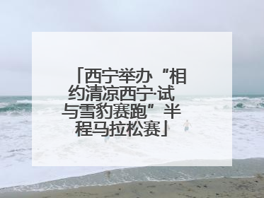 西宁举办“相约清凉西宁·试与雪豹赛跑”半程马拉松赛