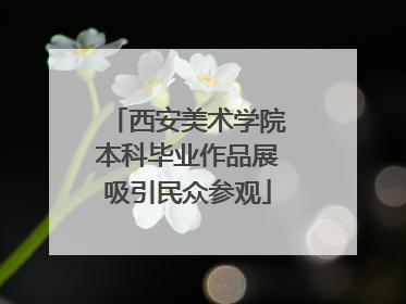 西安美术学院本科毕业作品展吸引民众参观