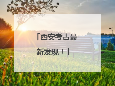 西安考古最新发现！