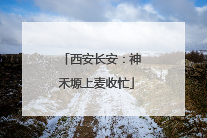 西安长安：神禾塬上麦收忙