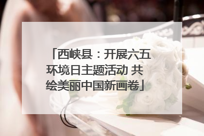 西峡县：开展六五环境日主题活动 共绘美丽中国新画卷