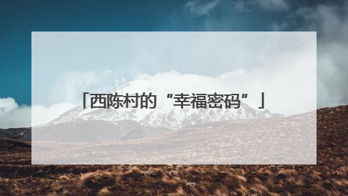 西陈村的“幸福密码”