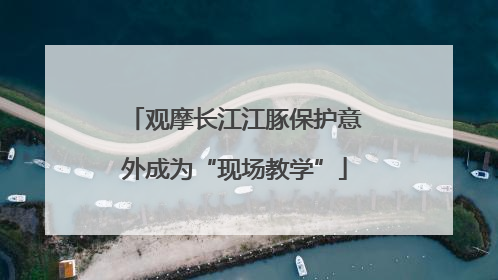 观摩长江江豚保护意外成为“现场教学”