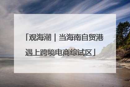 观海潮｜当海南自贸港遇上跨境电商综试区