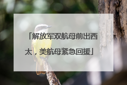 解放军双航母前出西太，美航母紧急回援