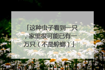 这种虫子看到一只，家里很可能已有一万只（不是蟑螂）