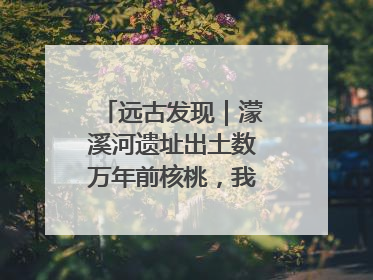 远古发现｜濛溪河遗址出土数万年前核桃，我国先民食用核桃历史大幅提前