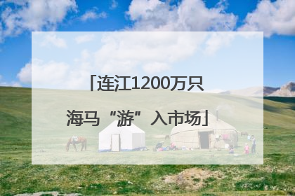 连江1200万只海马“游”入市场
