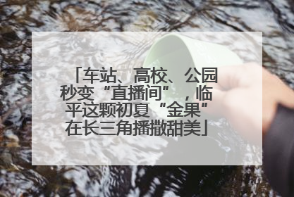 车站、高校、公园秒变“直播间”，临平这颗初夏“金果”在长三角播撒甜美