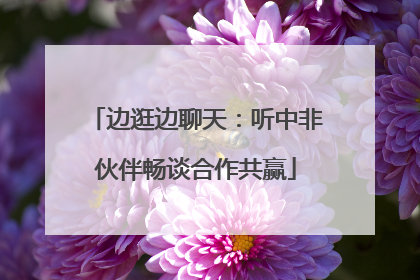 边逛边聊天：听中非伙伴畅谈合作共赢