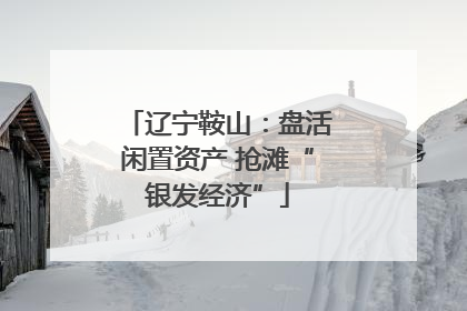 辽宁鞍山：盘活闲置资产 抢滩“银发经济”