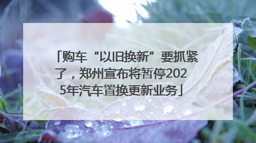 购车“以旧换新”要抓紧了，郑州宣布将暂停2025年汽车置换更新业务
