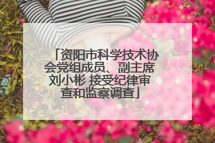 资阳市科学技术协会党组成员、副主席刘小彬 接受纪律审查和监察调查