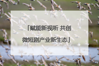 赋能新视听 共创微短剧产业新生态