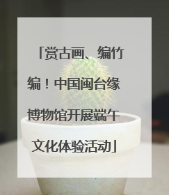 赏古画、编竹编！中国闽台缘博物馆开展端午文化体验活动
