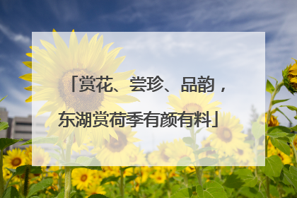 赏花、尝珍、品韵，东湖赏荷季有颜有料