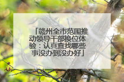 赣州全市范围推动领导干部换位体验：认真查找哪些事没办到没办好