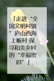 走进“全国文明村镇”庐山西海上畈村 探寻和美乡村的“幸福密码”