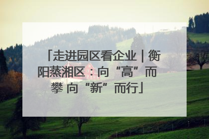 走进园区看企业｜衡阳蒸湘区：向“高”而攀 向“新”而行