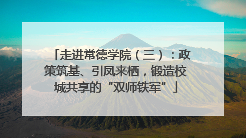 走进常德学院（三）：政策筑基、引凤来栖，锻造校城共享的“双师铁军”