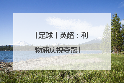足球丨英超：利物浦庆祝夺冠