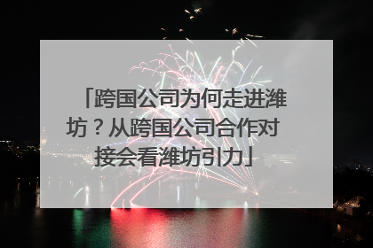 跨国公司为何走进潍坊？从跨国公司合作对接会看潍坊引力