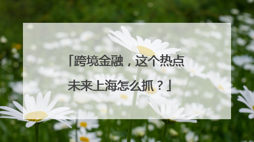 跨境金融，这个热点未来上海怎么抓？